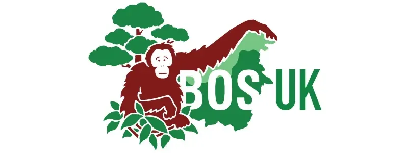 Saving orangutans from extinction, together